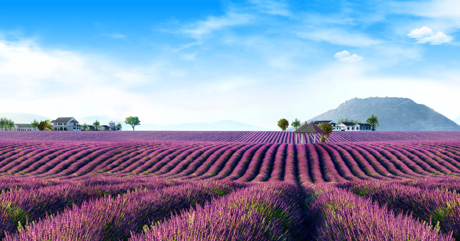 8f2a32162f781e69d0f0387c8d6e2e19.jpg 8f2a32162f781e69d0f0387c8d6e2e19.jpg