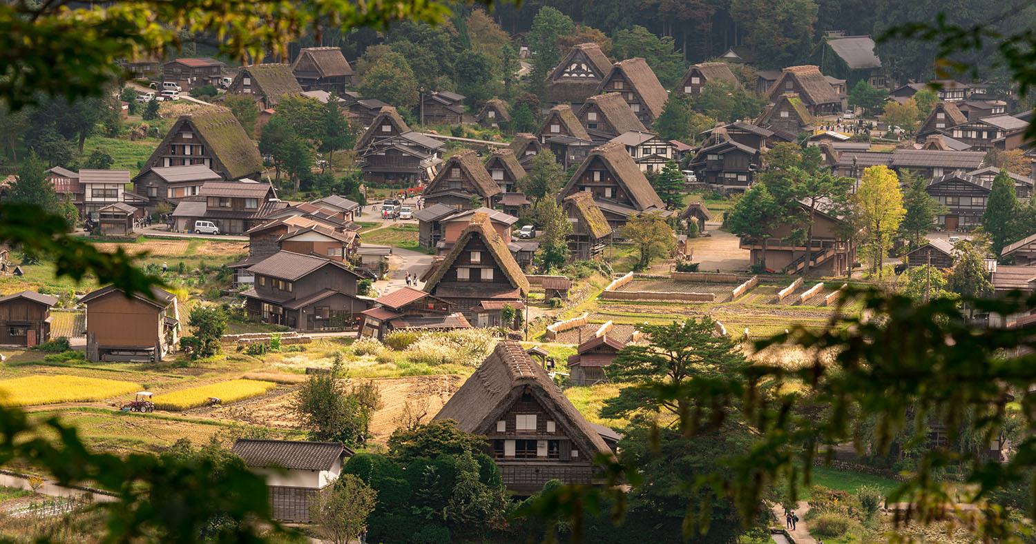 timg23.jpg timg23.jpg