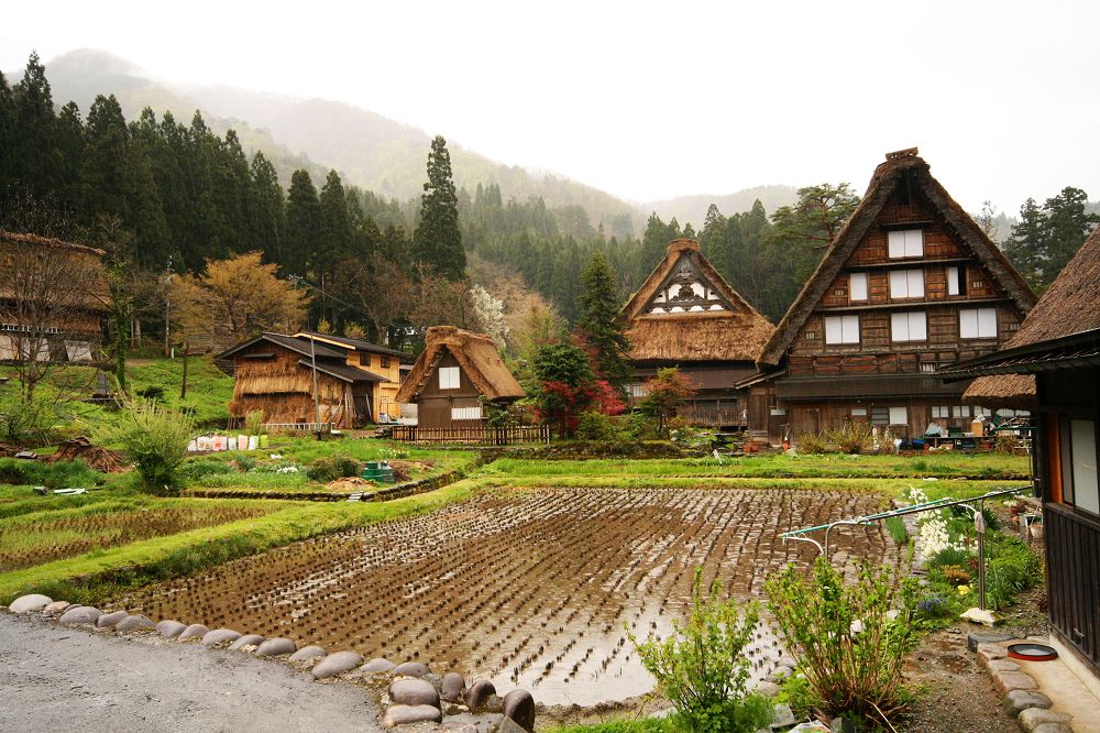 140523120147.jpg 140523120147.jpg